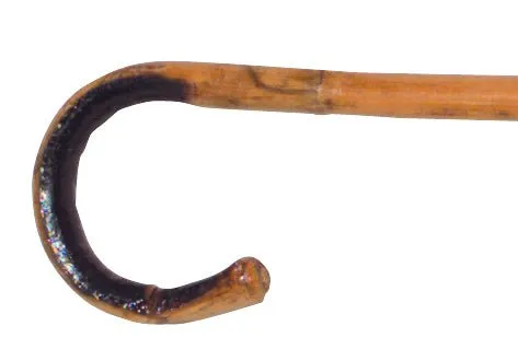 36in Bamboo Cane | Spartacus Vibrators